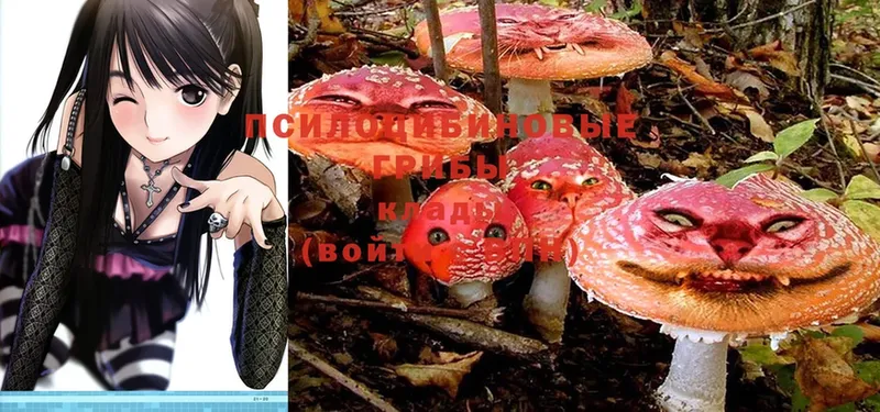 Галлюциногенные грибы Magic Shrooms  Инсар 